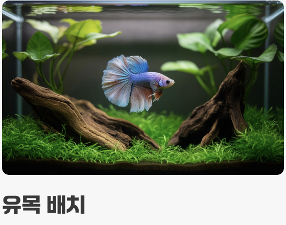 어항 준비, '계곡'을 옮겨오세요