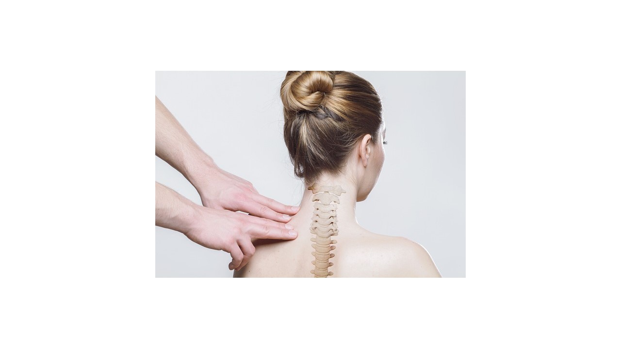 환자의 승모근을 살피고 있는 한의사