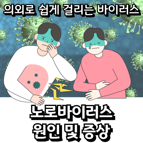 노로-바이러스-소개