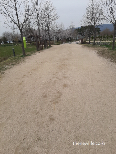 봄 풍경의 구리 한강시민공원 어싱 전용 코스 입구 모습