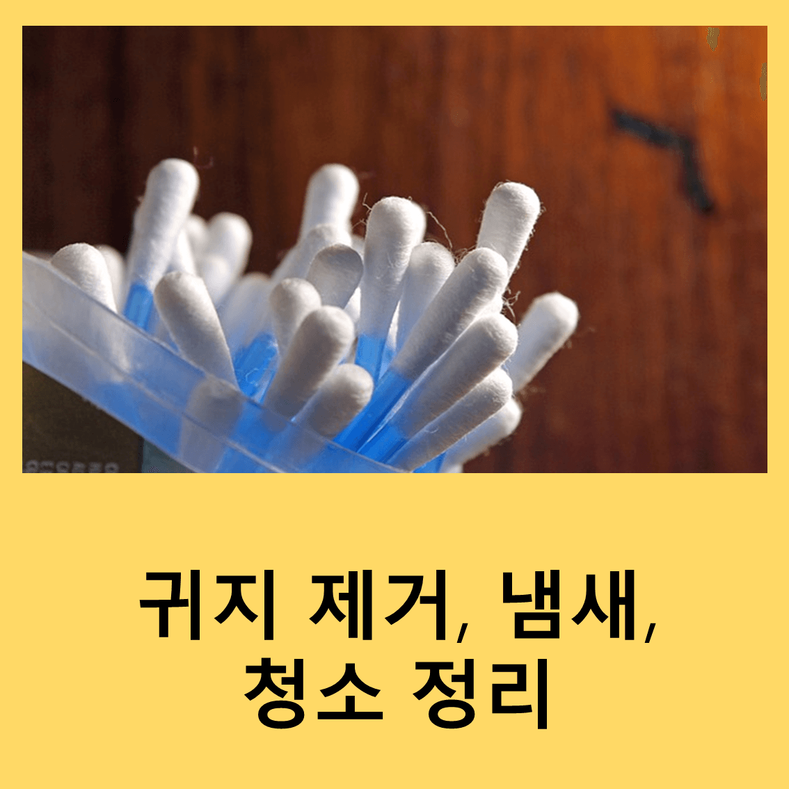 귀지