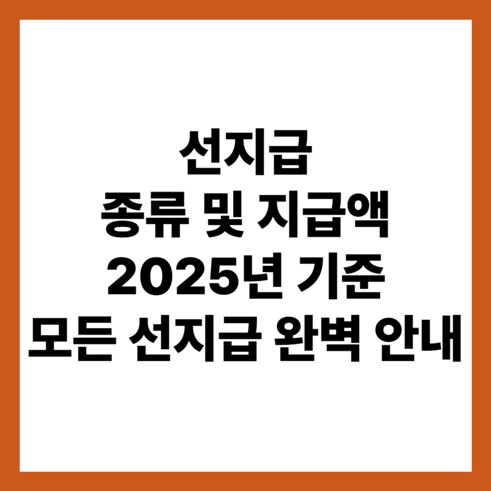 선지급 종류 및 지급액 2025년 기준 모든 선지급 완벽 안내