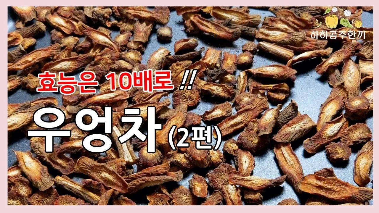 우엉차 효능 부작용_8
