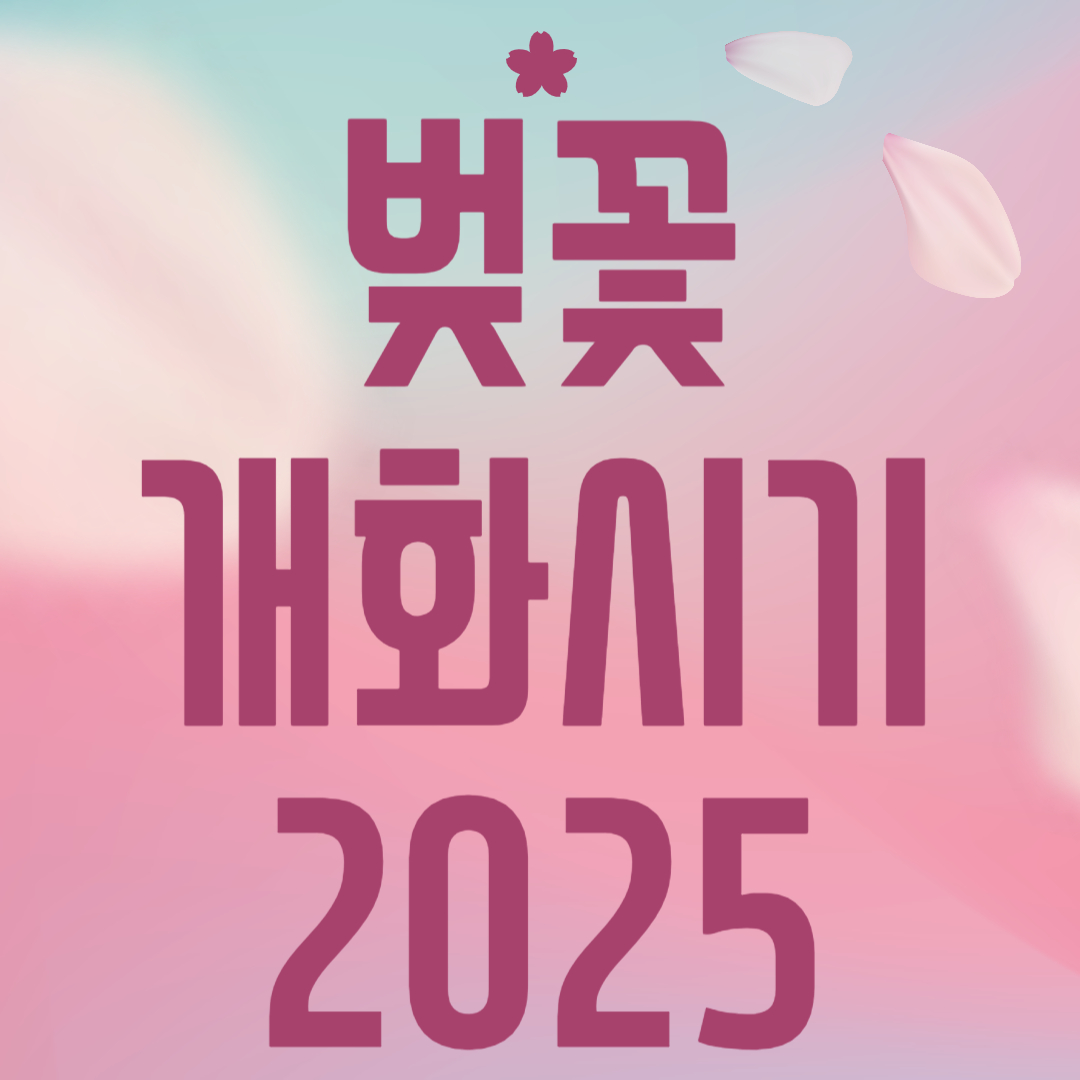 벚꽃 개화시기 2025