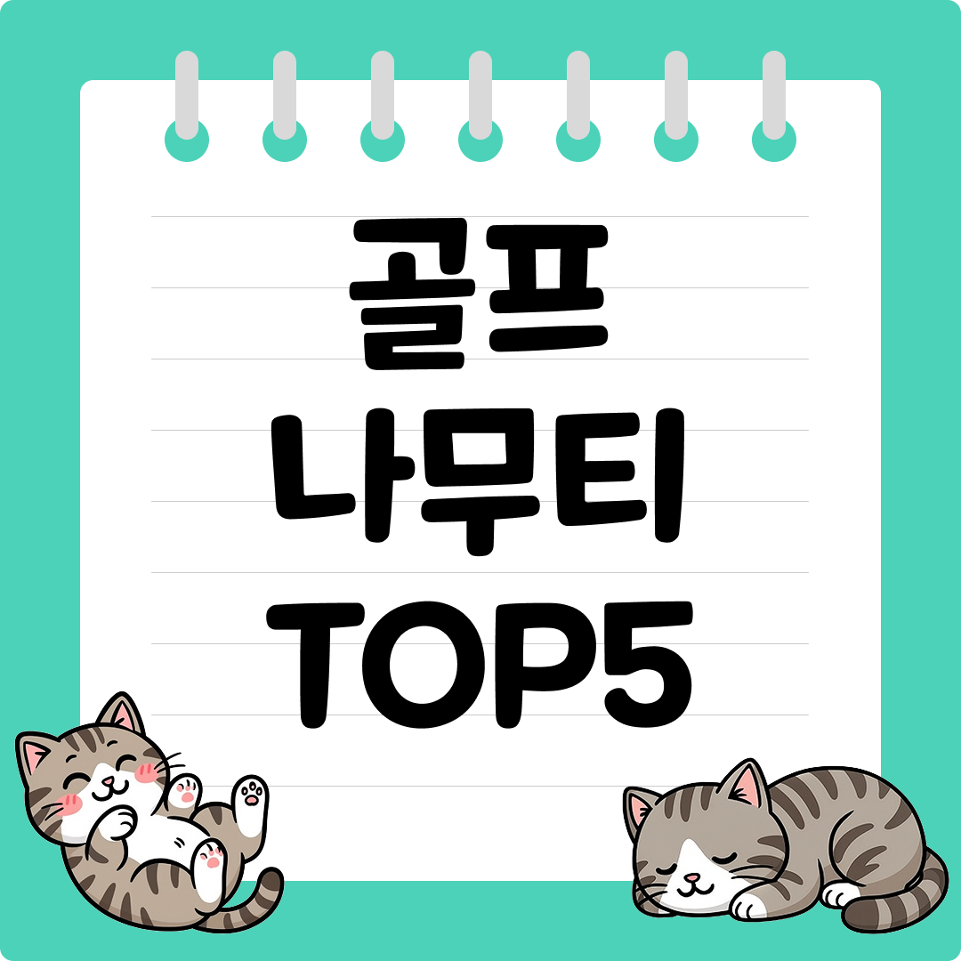 드라이버용 골프 나무티 추천 순위 TOP5