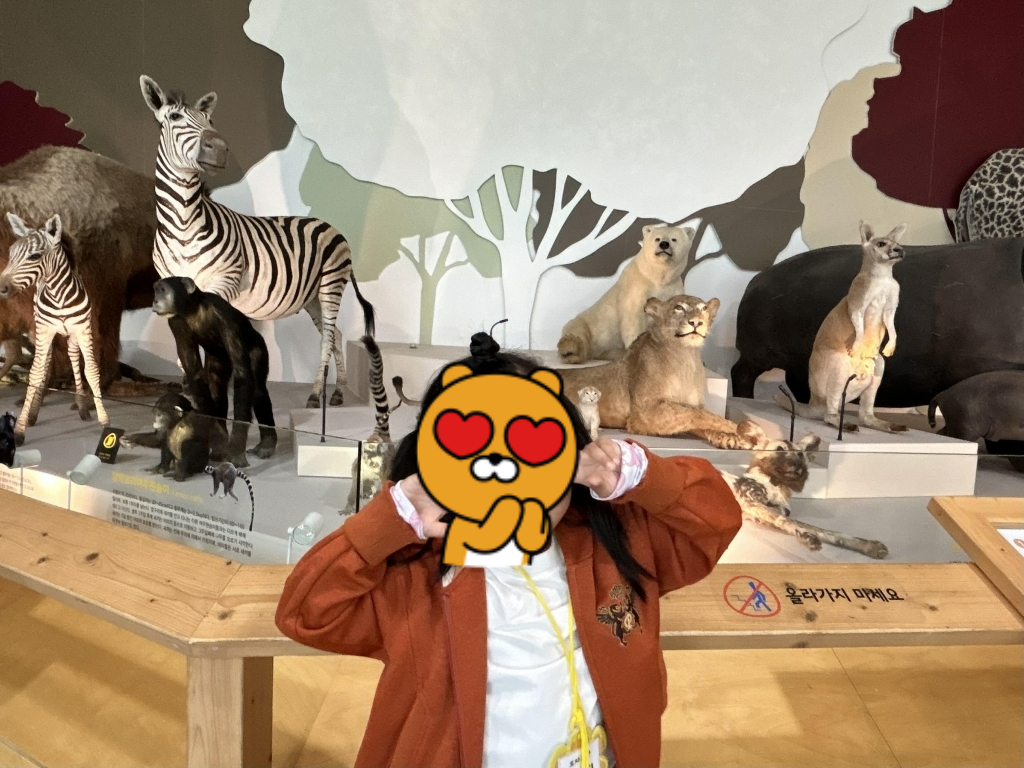 상주 국립낙동강생물자원관 전시실 내부 사자 얼룩말 동물 박제 모습