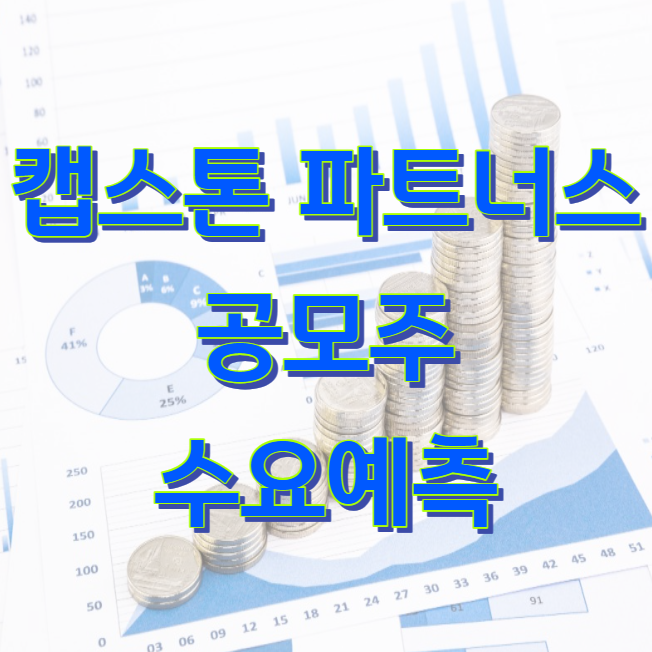 캡스톤 파트너스 공모주