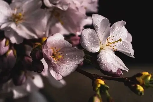 근로장려금 지급일