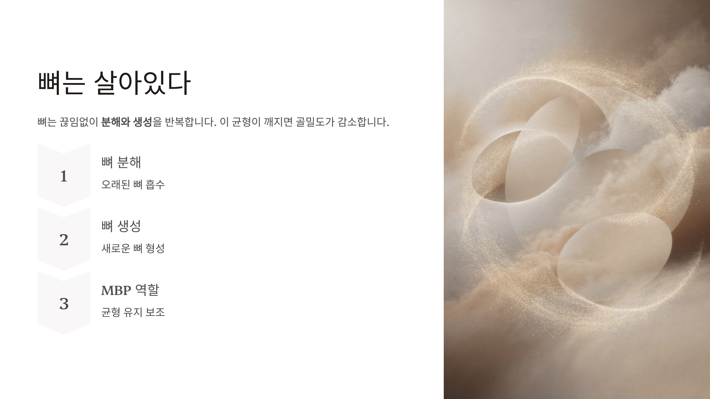뼈엔MBP 효능