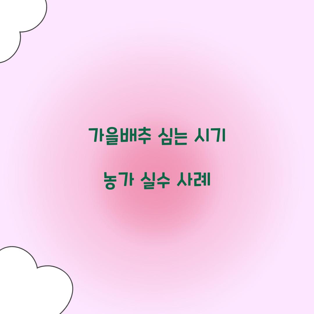 가을배추 심는 시기 농가 실수 사례