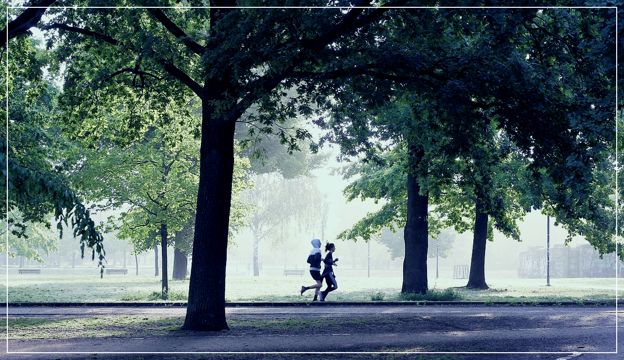30대 여성을 위한 상체 운동 관련 사진
