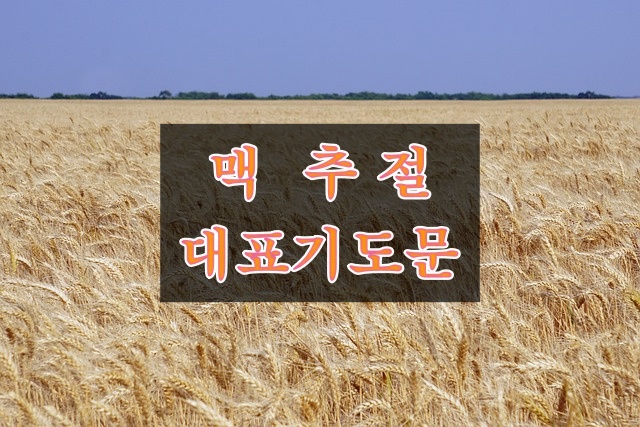 맥추절