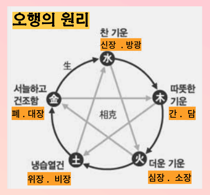 오행의 원리