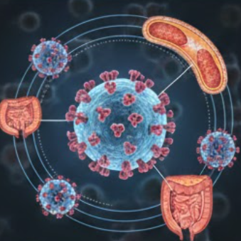 노로바이러스 증상