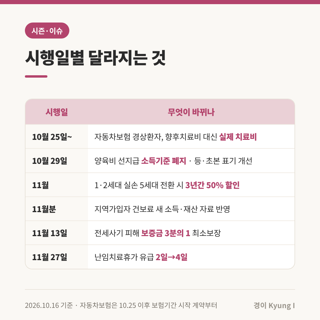 시행일별 달라지는 것 표: 10월 25일 개시 계약부터 자동차보험 경상환자 실제 치료비, 10월 29일 양육비 선지급 소득기준 폐지와 등&middot;초본 표기 개선, 11월 1&middot;2세대 실손 전환 3년간 50% 할인, 11월분 지역가입자 건보료 새 기준, 11월 13일 전세사기 보증금 3분의 1 최소보장, 11월 27일 난임치료휴가 유급 2일에서 4일