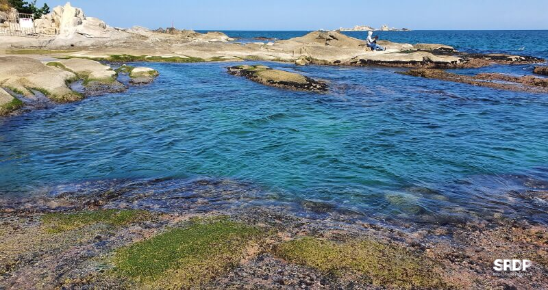 아야진-해변-해수욕장-스위밍터틀-강원도-고성-오션뷰-카페