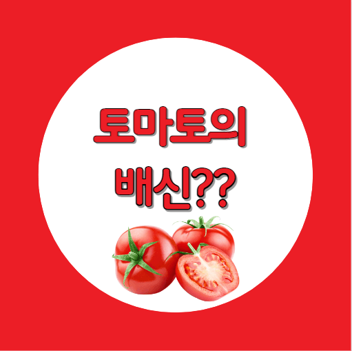 토마토 3알
