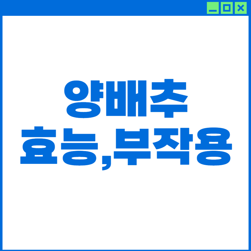 양배추-효능