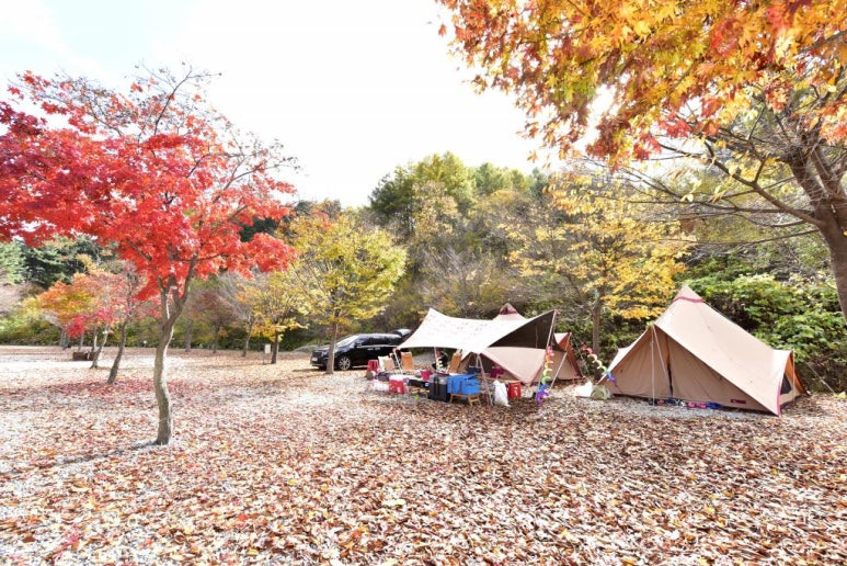 가평 '늘푸른쉼터' 캠핑장 미리보기