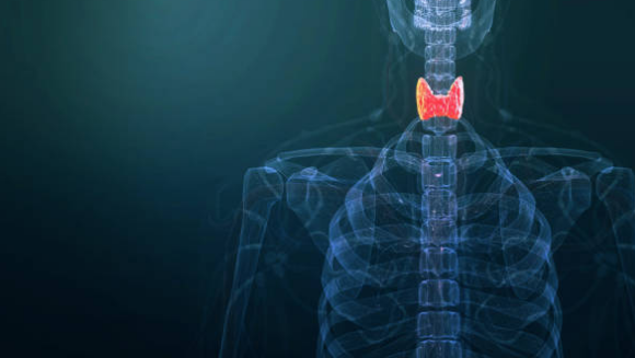 갑상선 기능 항진증 증상, 수치, 검사 총정리 (2024ver)