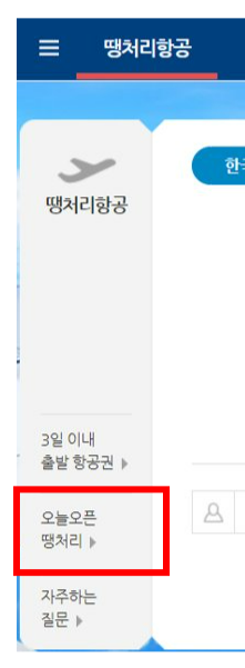 땡처리 항공권