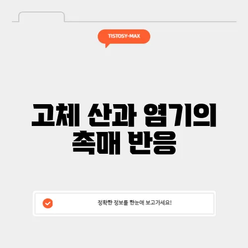 고체 산과 염기의 촉매 반응