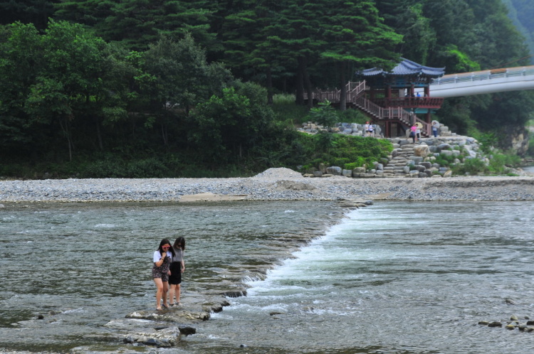 강원도 무형문화재 제1호, 정선 아리랑의 발상지 나룻배 체험 강원 정선 가볼만한 곳