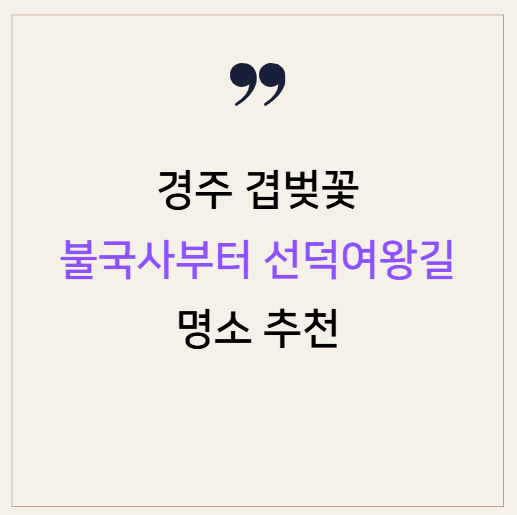 경주 겹벚꽃 명소 추천 불국사부터 선덕여왕길까지 총정리