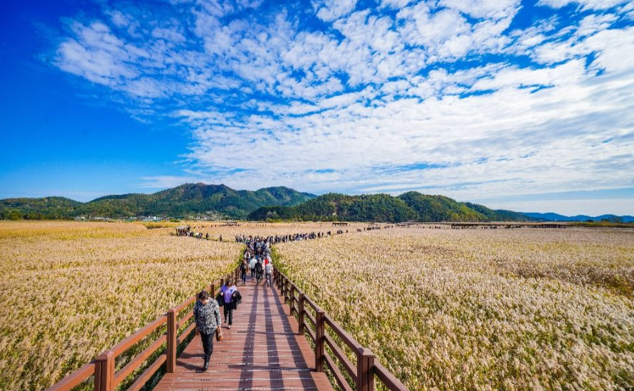 세계유산축전 제주 2025 - 홈페이지, 일정(기간), 행사 프로그램