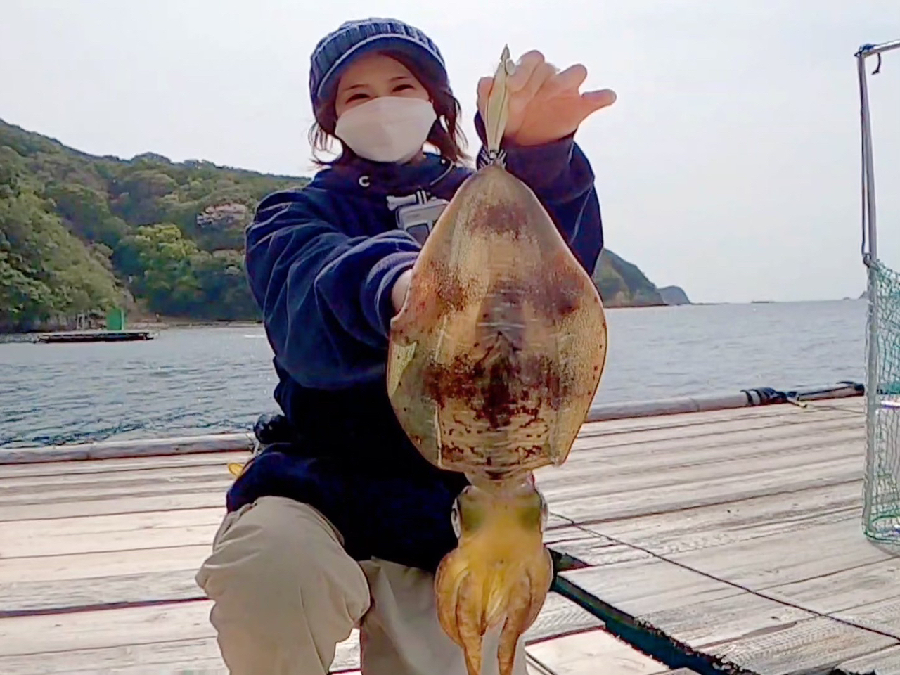 무늬오징어 시즌