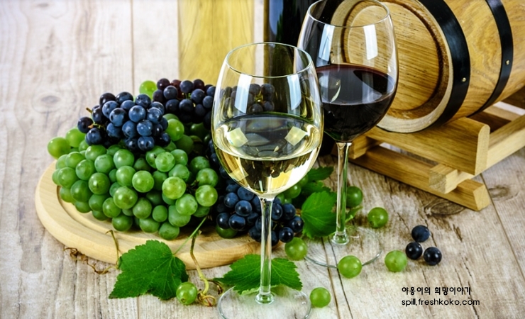 신장에 좋은 음식