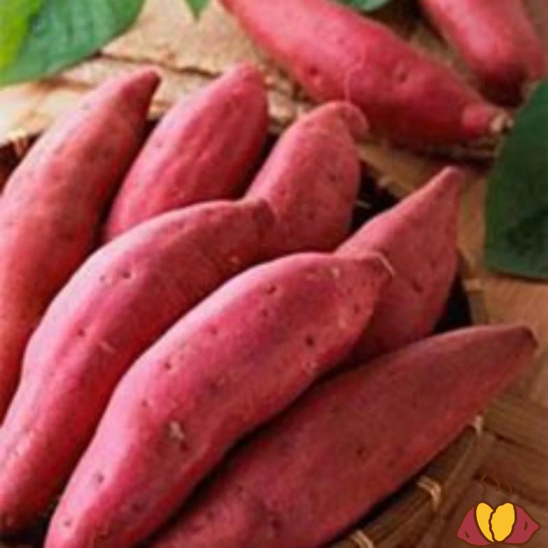 고구마순,고구마 요리