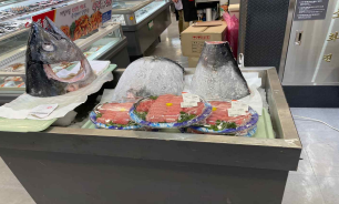 참치할인매장
