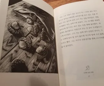 나무를 심은 사람 장 지오노 명서 철학 소설 추천_19