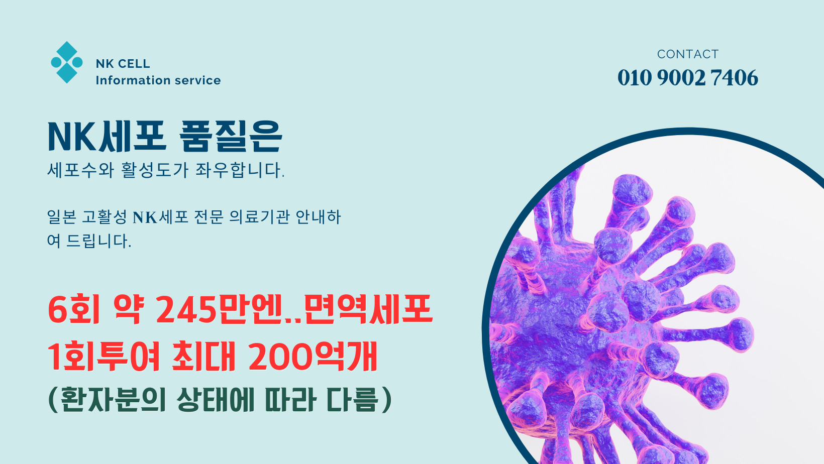 NK 세포