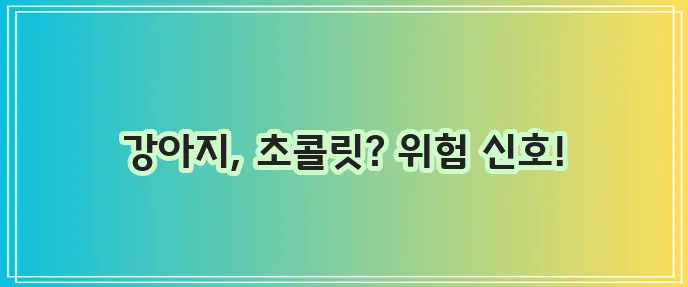 강아지와 초콜릿 반려견에게 정말 위험합니다!