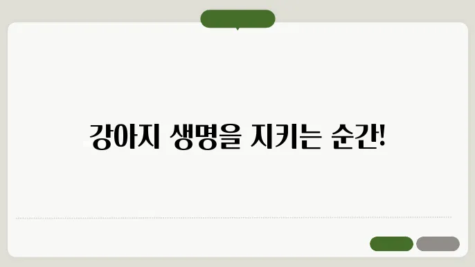 강아지 예방접종 시기