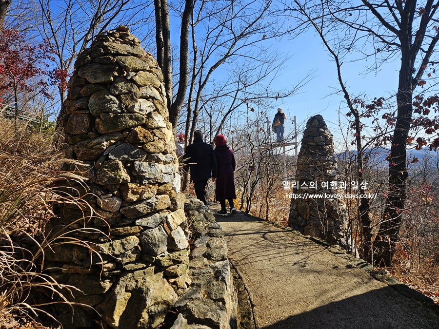 2025 화담숲 마지막 가을 단풍 화담채 분재 즐기기