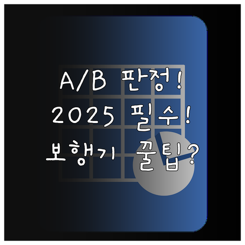 2025년 보행기 지원 등급 외 A/..