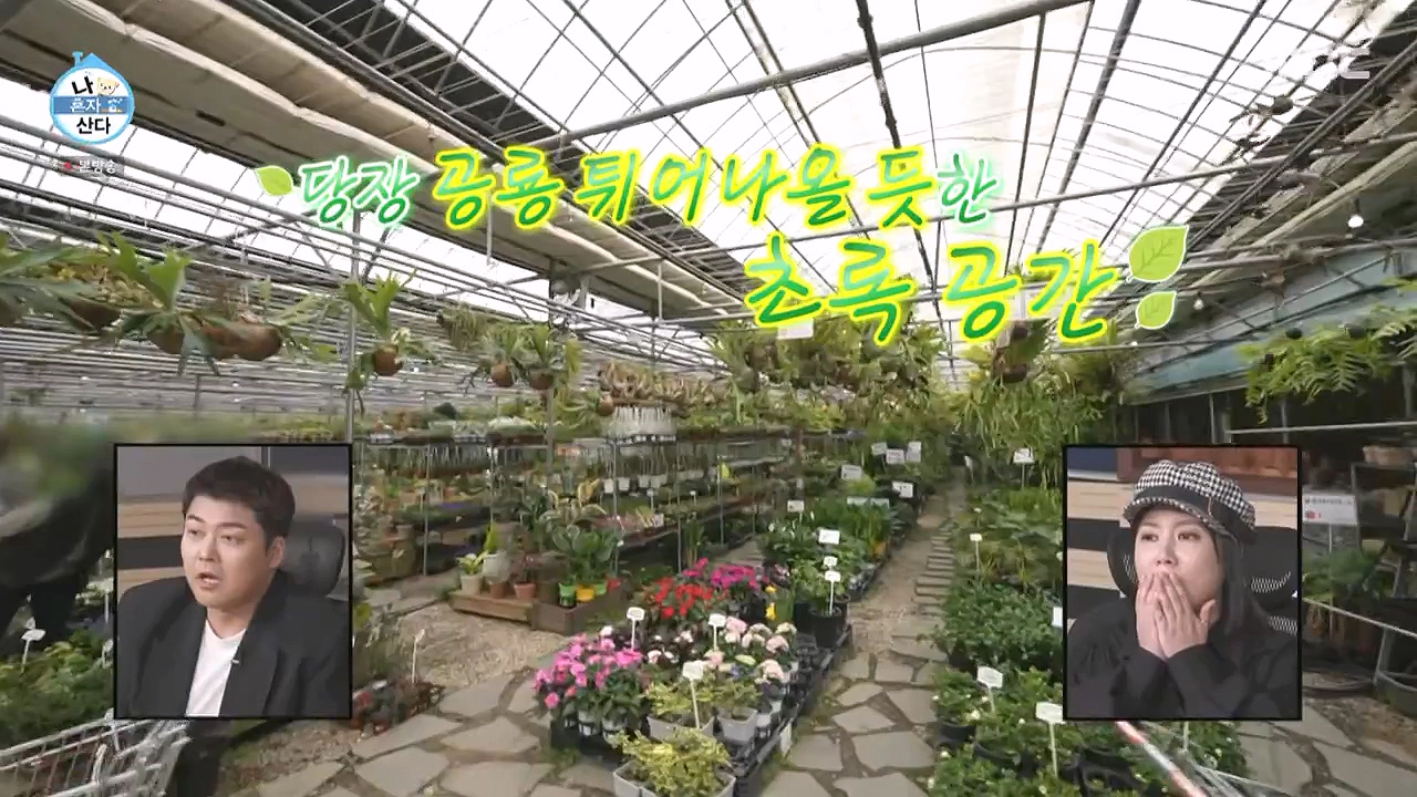 조인폴리아 영업시간 위치 주차