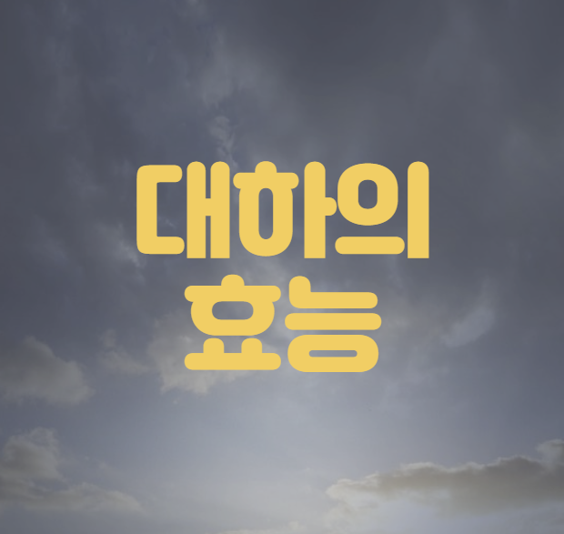 대하의 효능