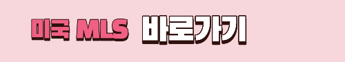 알트태그-미국 MLS 바로가기