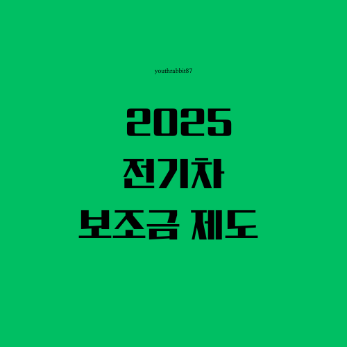 2025 전기차 보조금 제도
