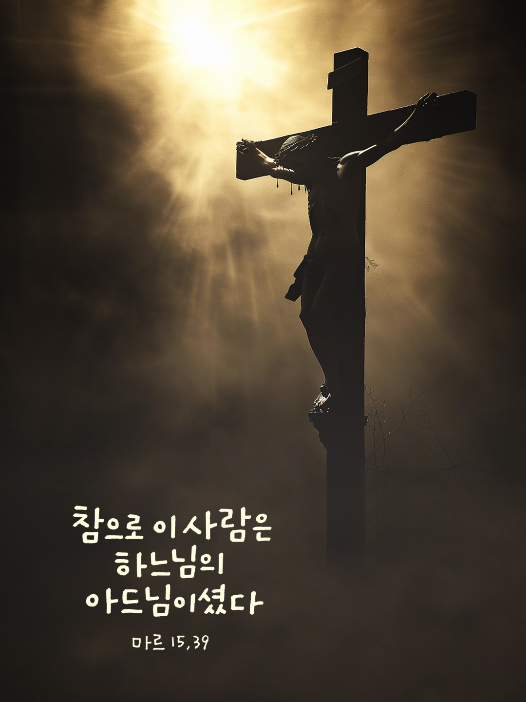 참으로 이 사람은 하느님의 아드님이셨다. (마르 15&#44;39)