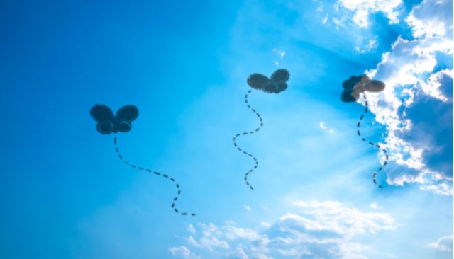 비문증,일명 날파리증 예시