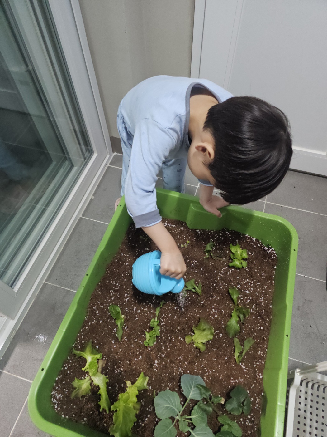 2025년 오산시 도시농업 힐링그린텃밭 - 지원부터 수령까지