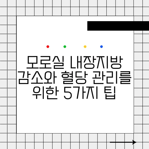 모로실 내장지방 감소와 혈당 관리를 위한 5가지 팁