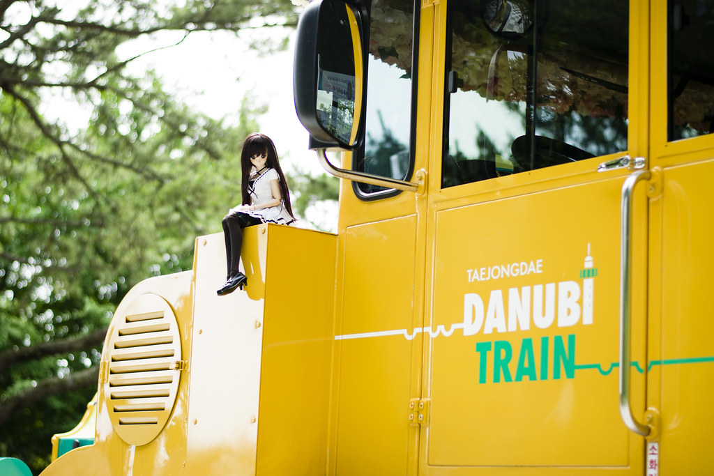 태종대 다누비열차 코스