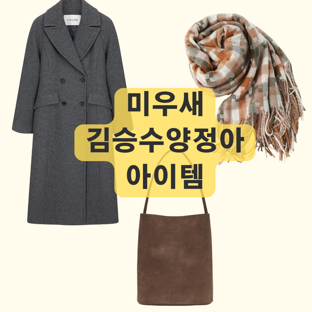 미우새 김승수 양정아 머플러 선물, 가방, 코트 패션 정보