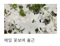 내가 가입한 카페 바로가기